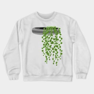 String of pearls in grey planter, succulents for crazy plant lady Crewneck Sweatshirt